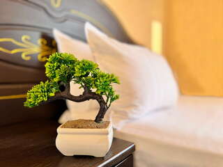 Гостиница Марракеш Витязево-3